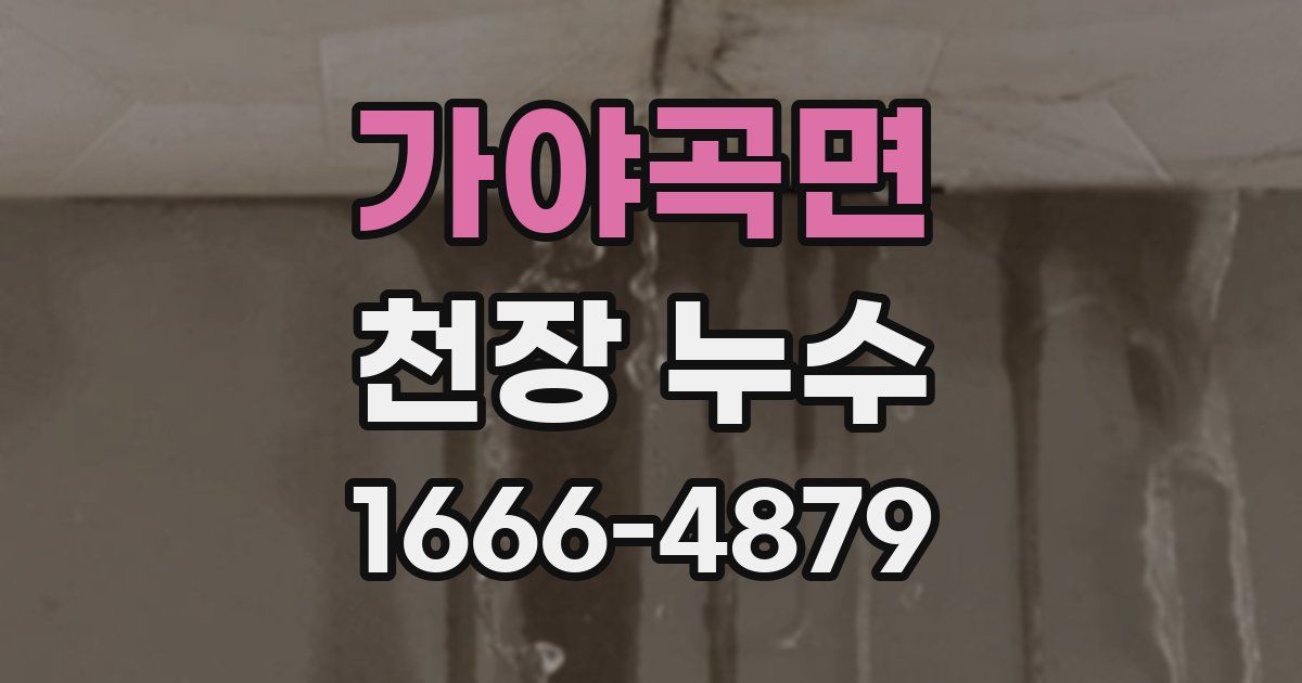 가야곡면 천장 누수