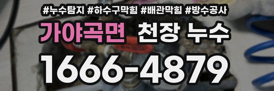 가야곡면 천장 누수
