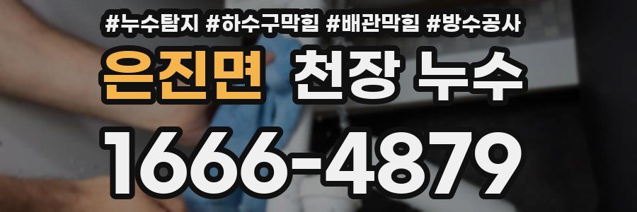 은진면 천장 누수