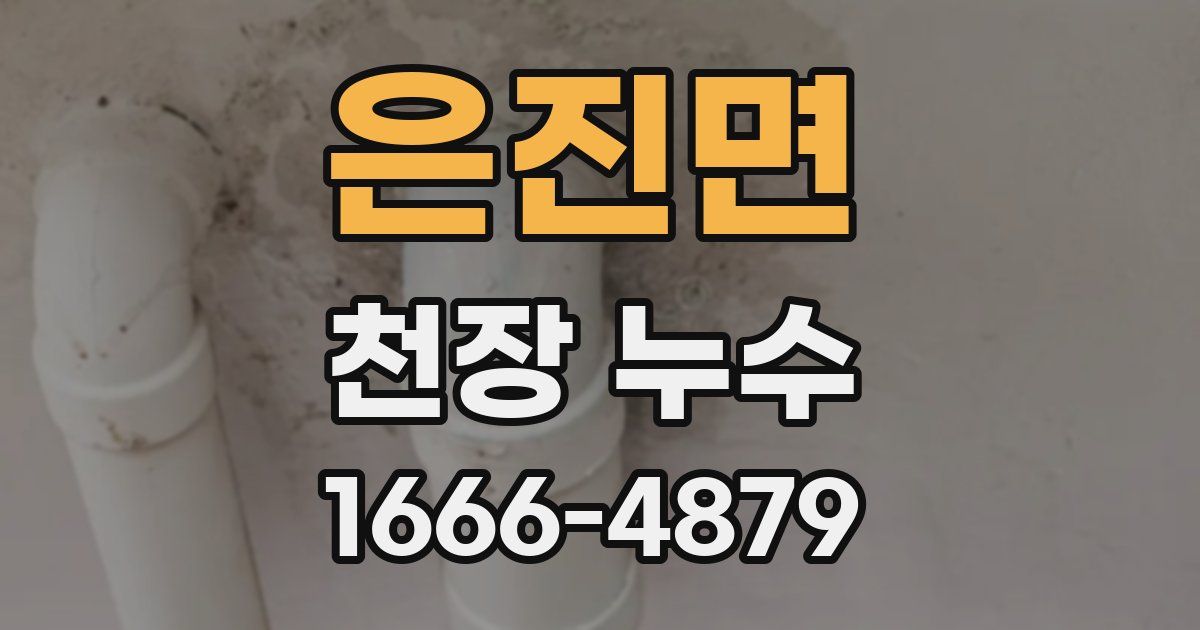 은진면 천장 누수