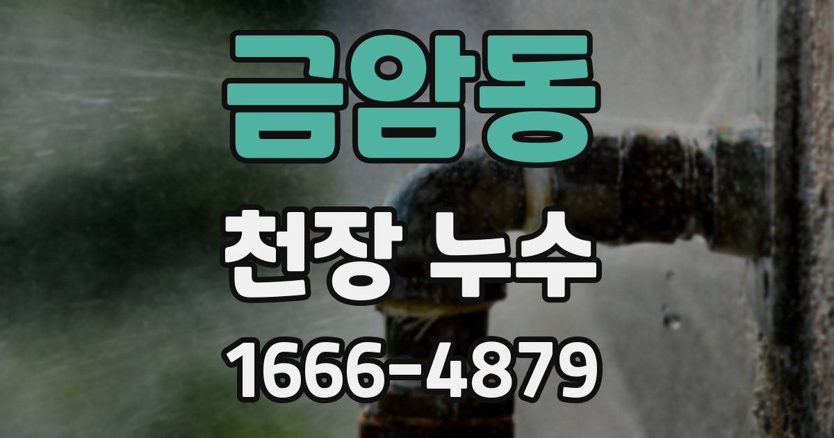 금암동 천장 누수