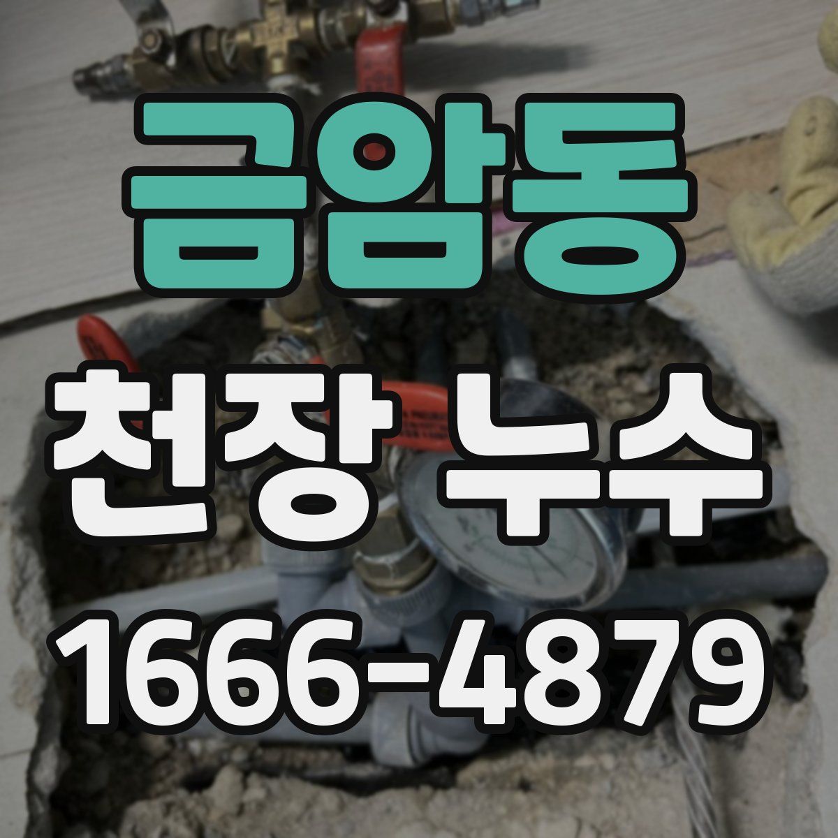 금암동 천장 누수