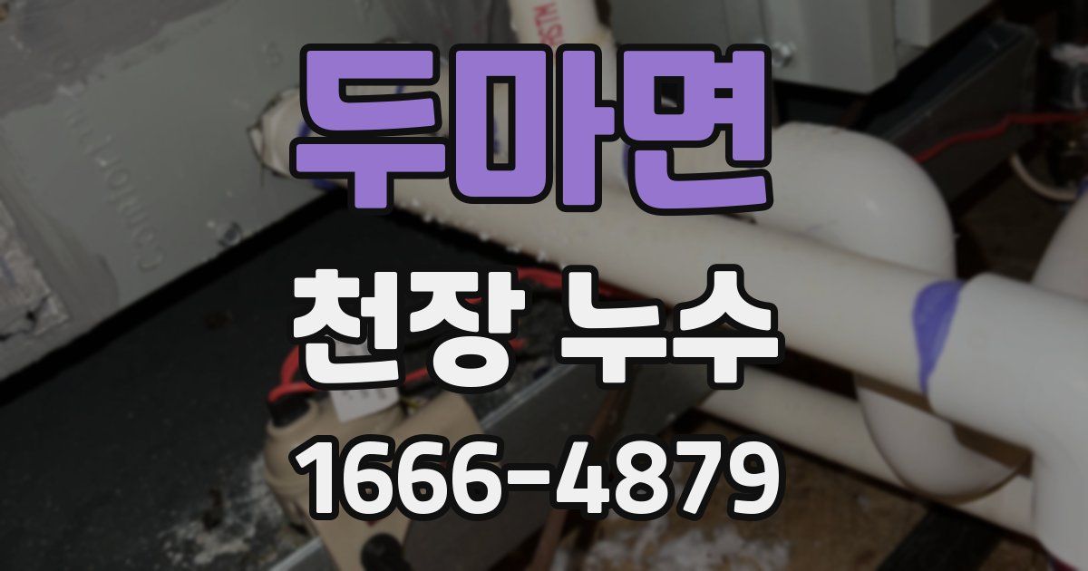 두마면 천장 누수