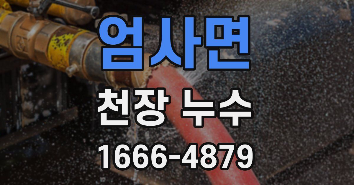 엄사면 천장 누수