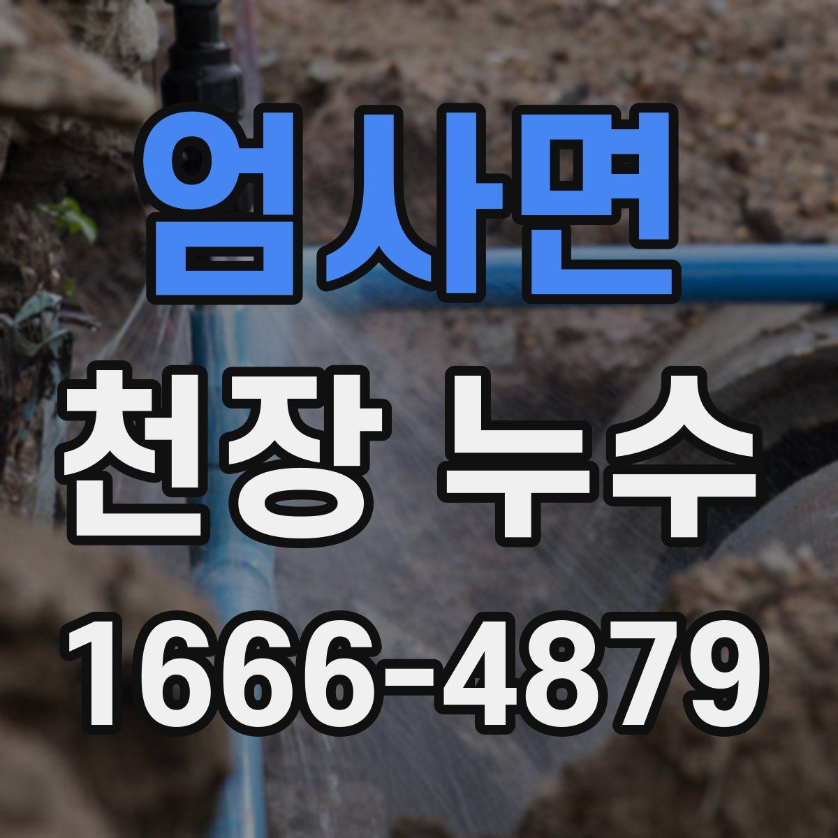 엄사면 천장 누수