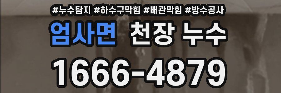엄사면 천장 누수