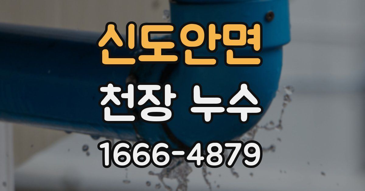 신도안면 천장 누수