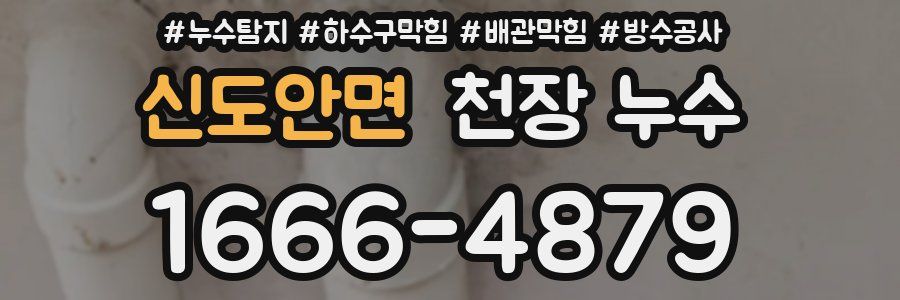 신도안면 천장 누수