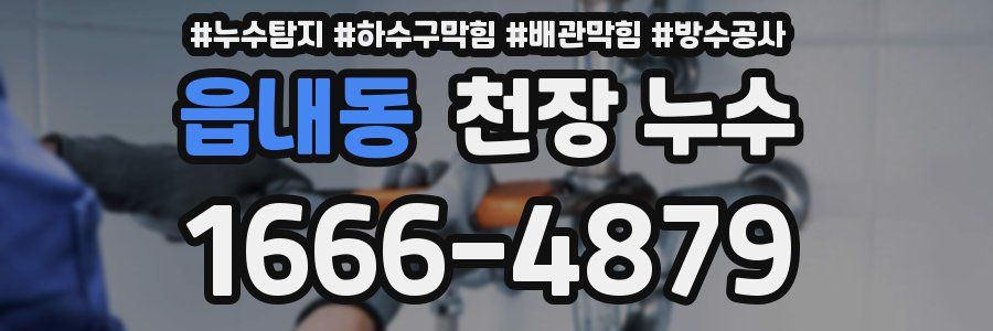 읍내동 천장 누수