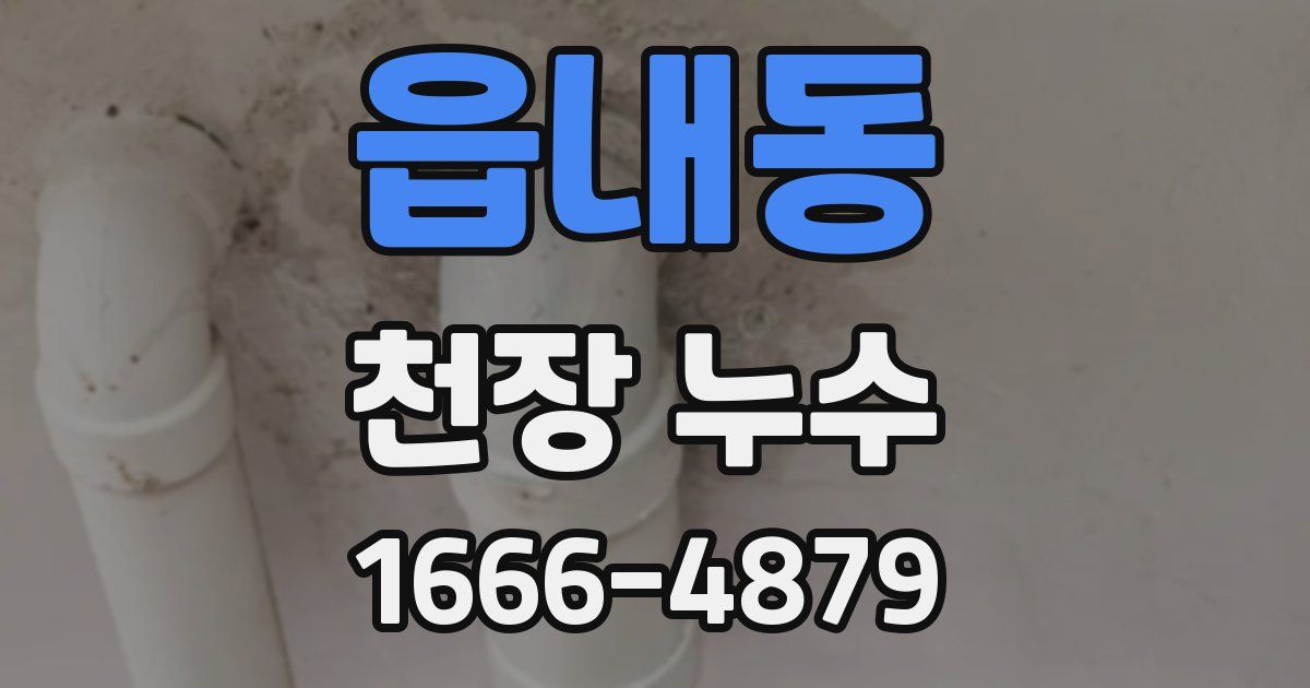 읍내동 천장 누수