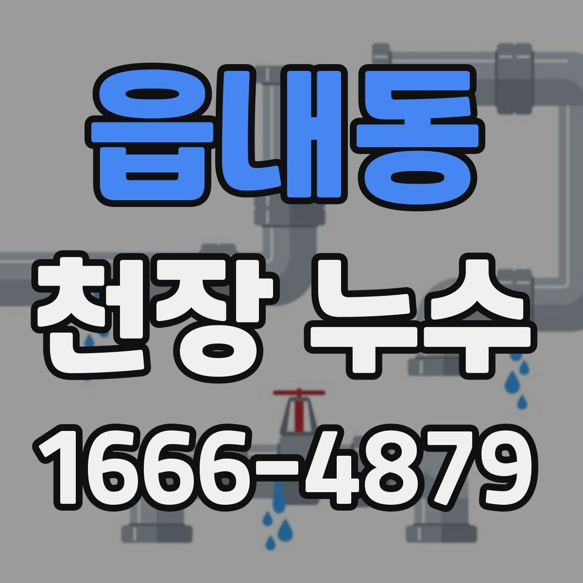 읍내동 천장 누수