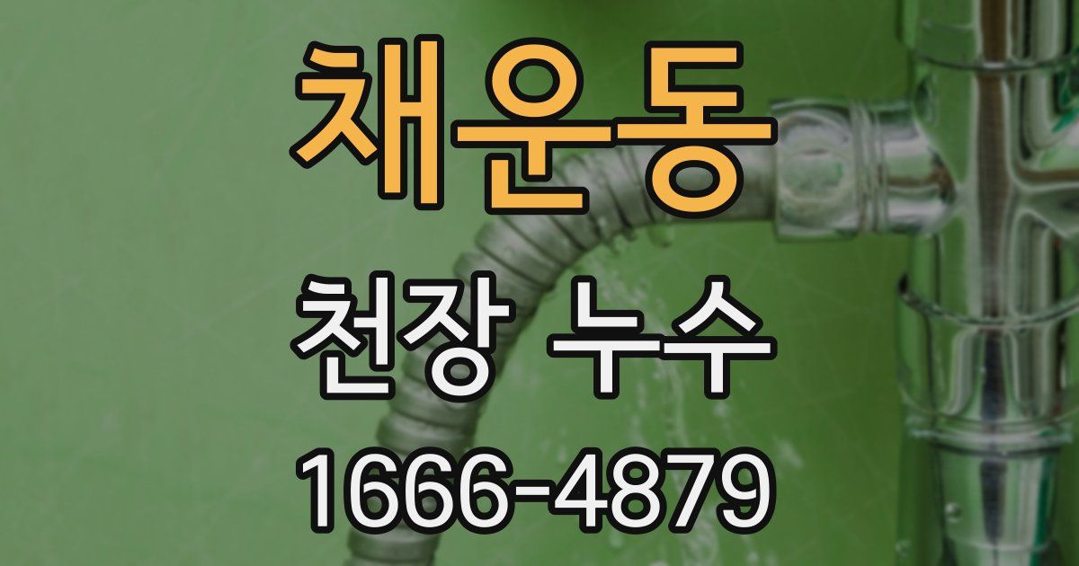 채운동 천장 누수