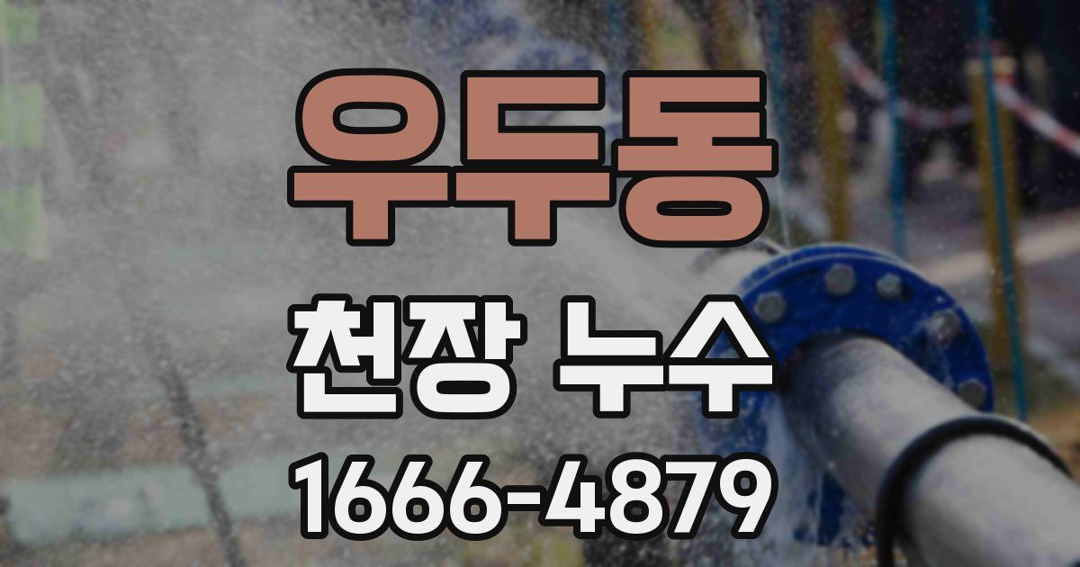우두동 천장 누수