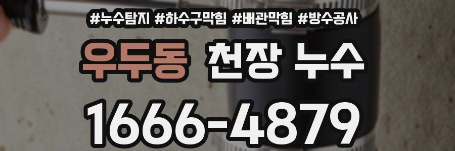 우두동 천장 누수