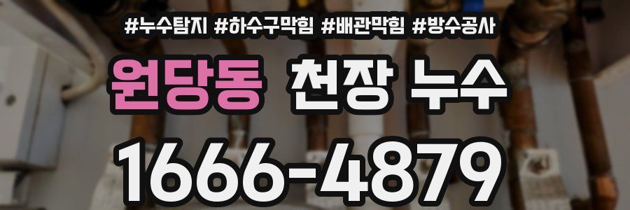 원당동 천장 누수