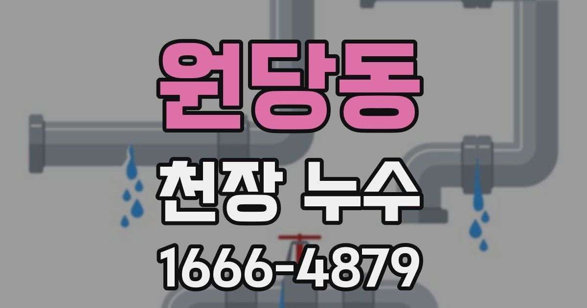 원당동 천장 누수