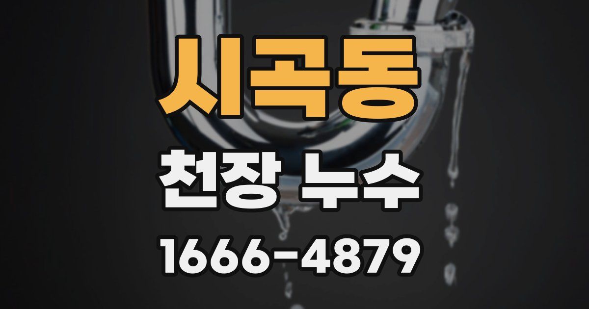 시곡동 천장 누수