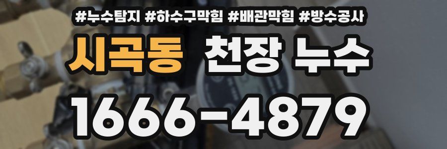 시곡동 천장 누수