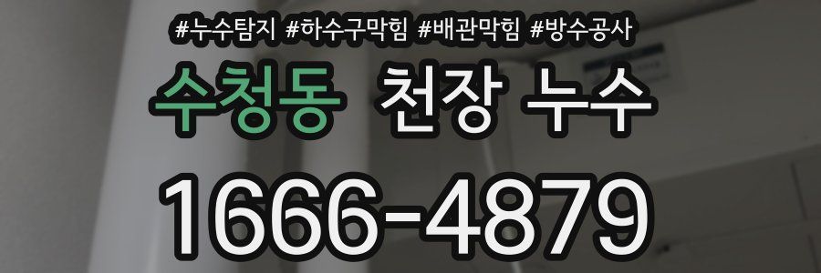 수청동 천장 누수