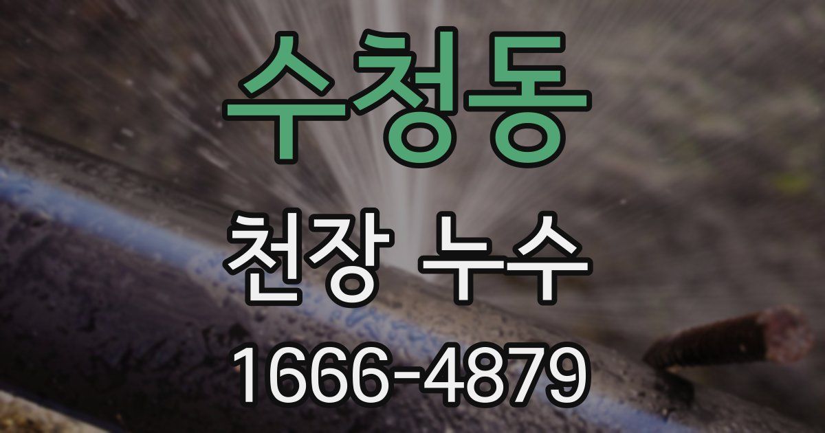 수청동 천장 누수