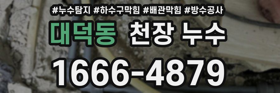 대덕동 천장 누수