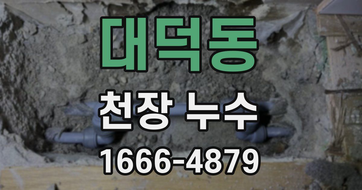 대덕동 천장 누수