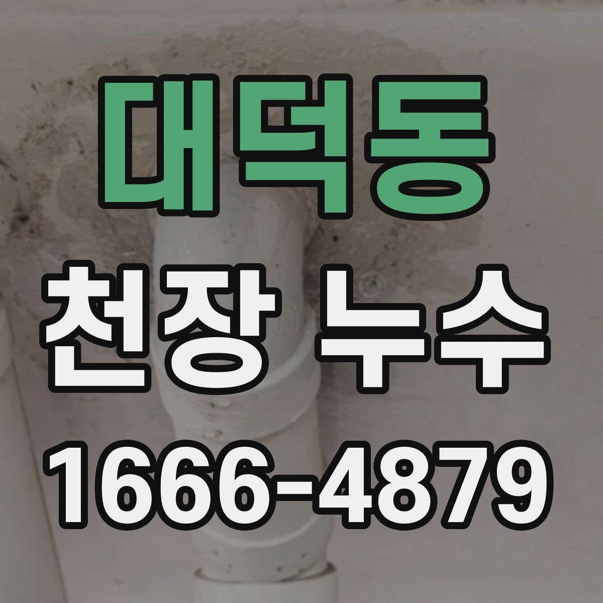 대덕동 천장 누수