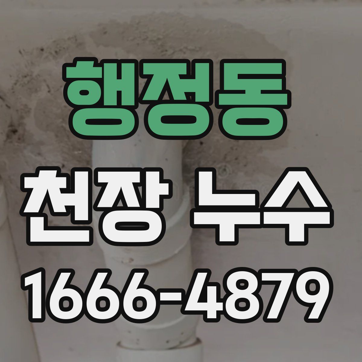 행정동 천장 누수