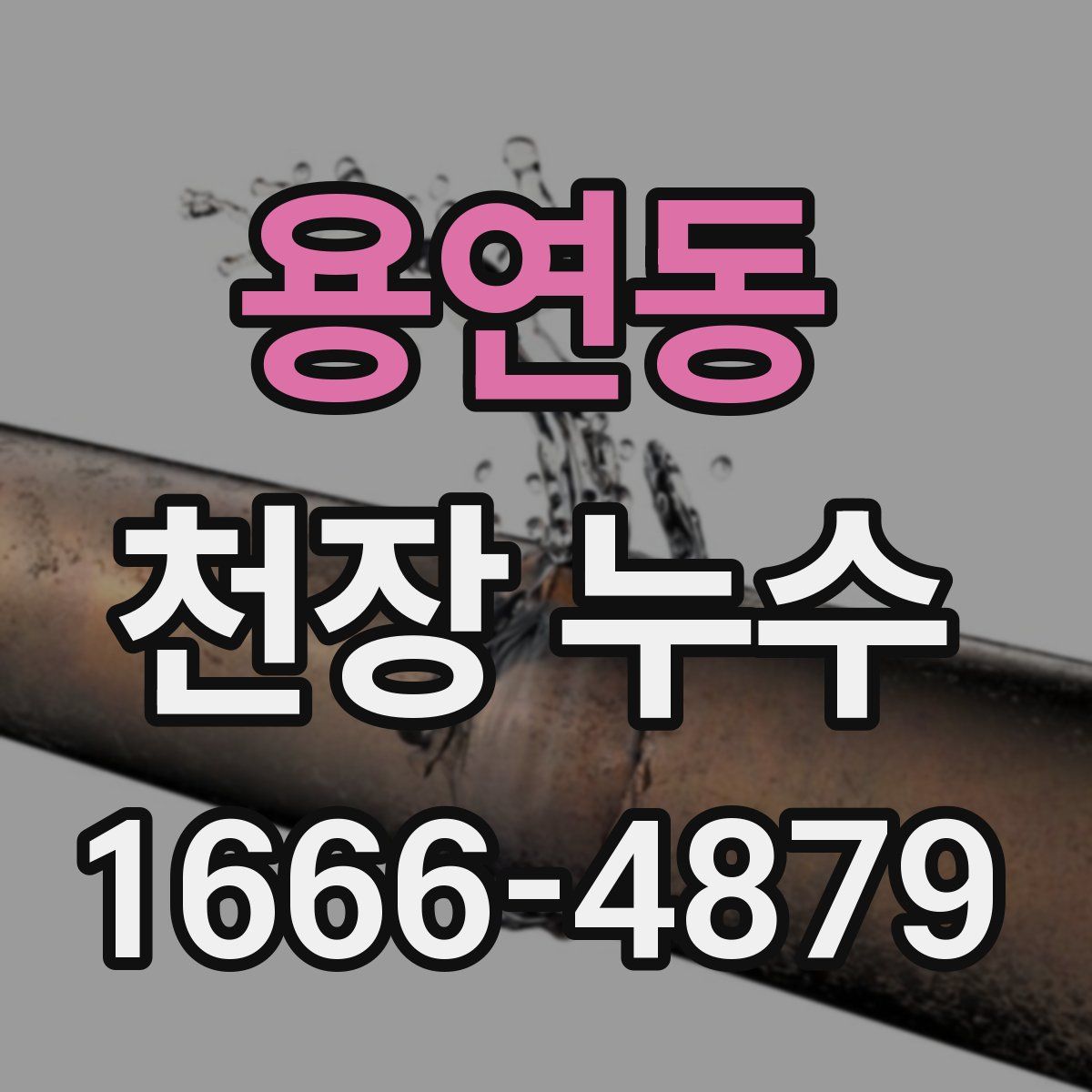 용연동 천장 누수