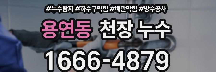 용연동 천장 누수