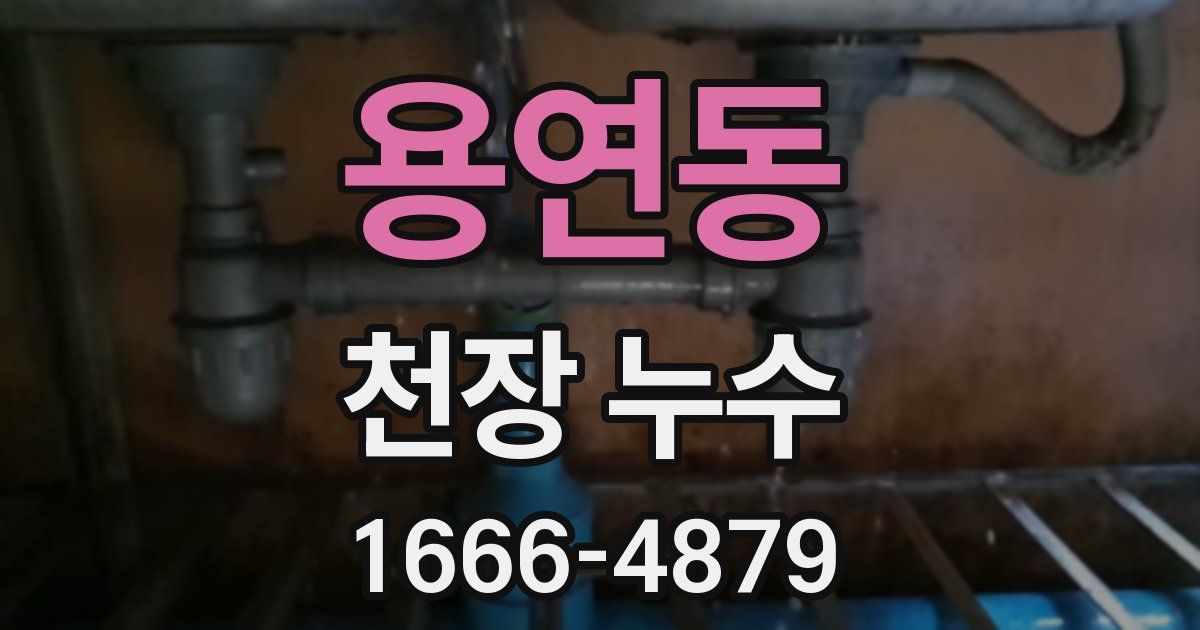 용연동 천장 누수