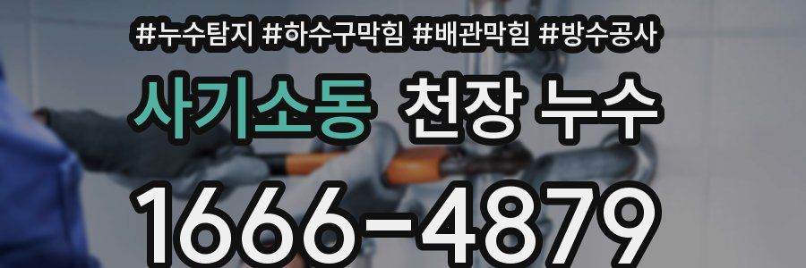 사기소동 천장 누수