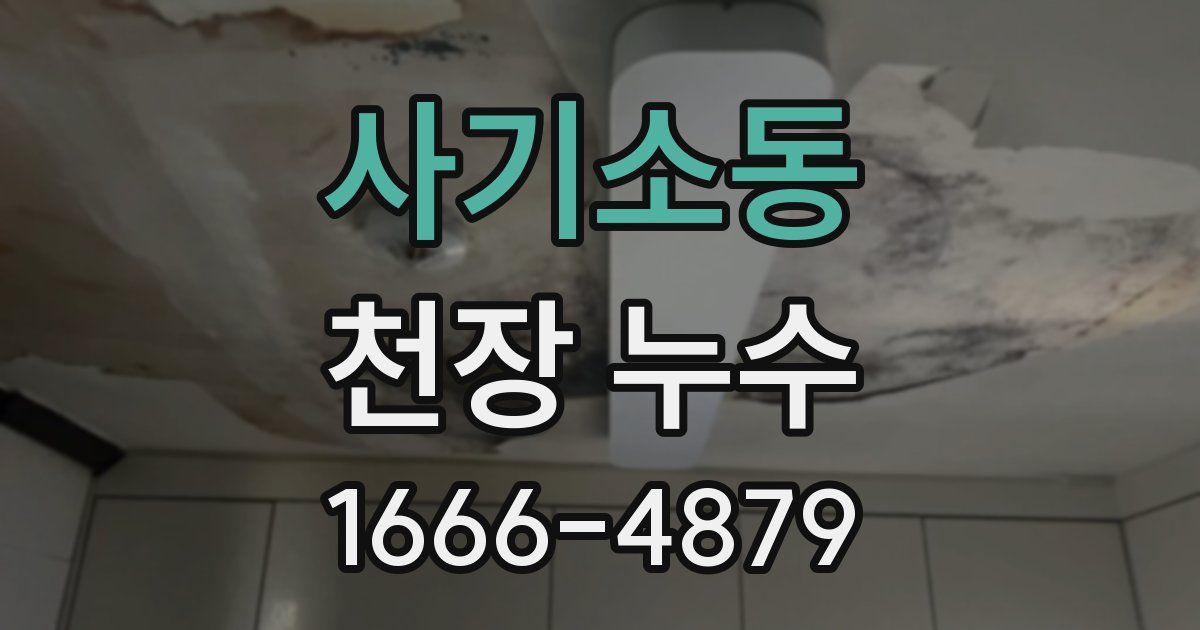 사기소동 천장 누수