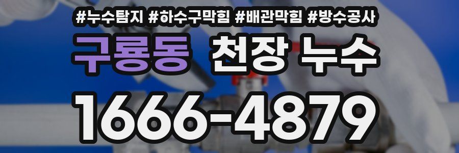 구룡동 천장 누수