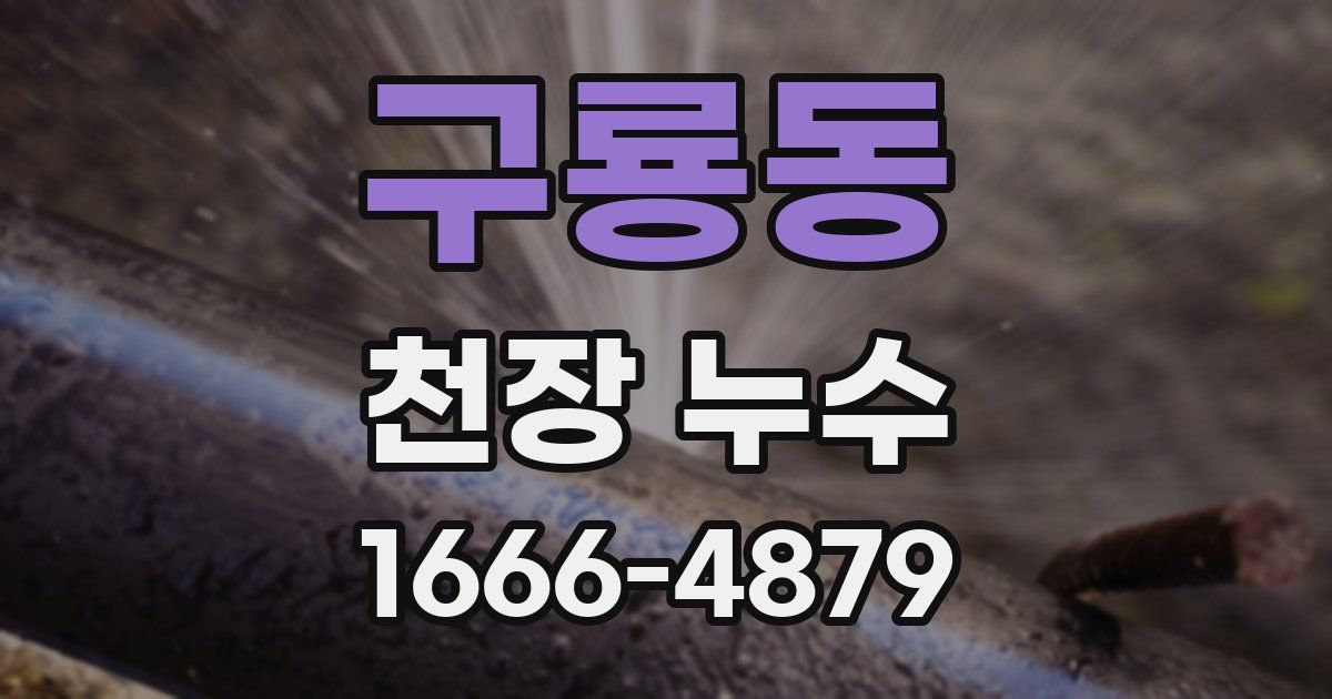 구룡동 천장 누수
