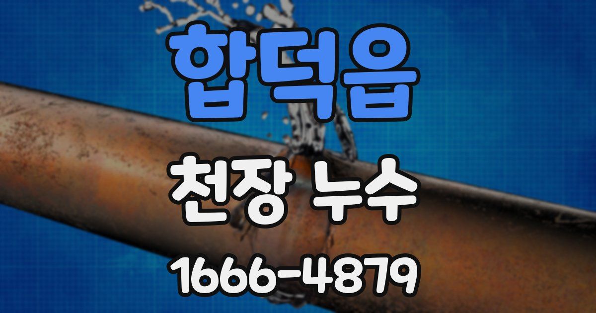 합덕읍 천장 누수