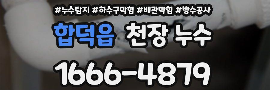 합덕읍 천장 누수