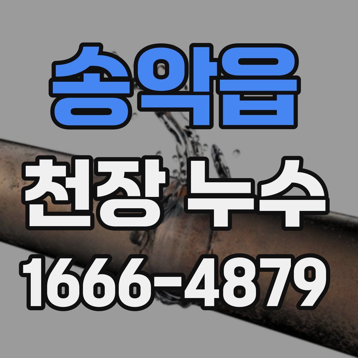 송악읍 천장 누수