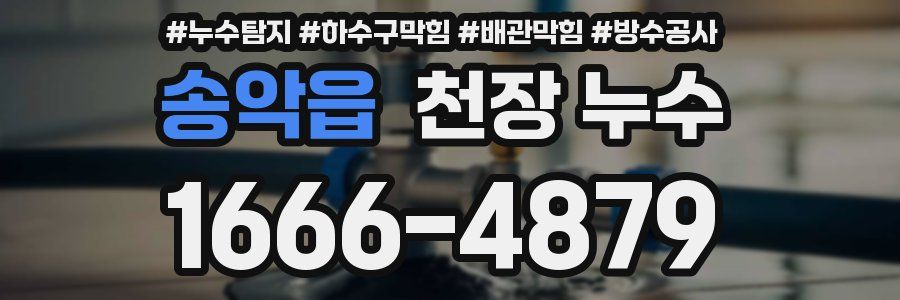 송악읍 천장 누수