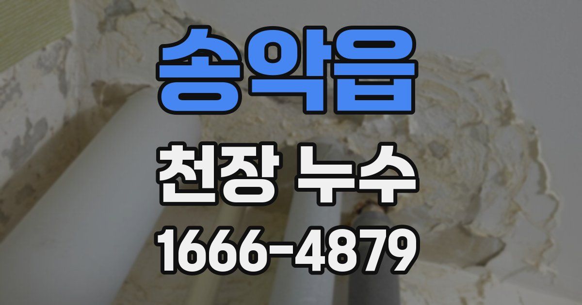 송악읍 천장 누수