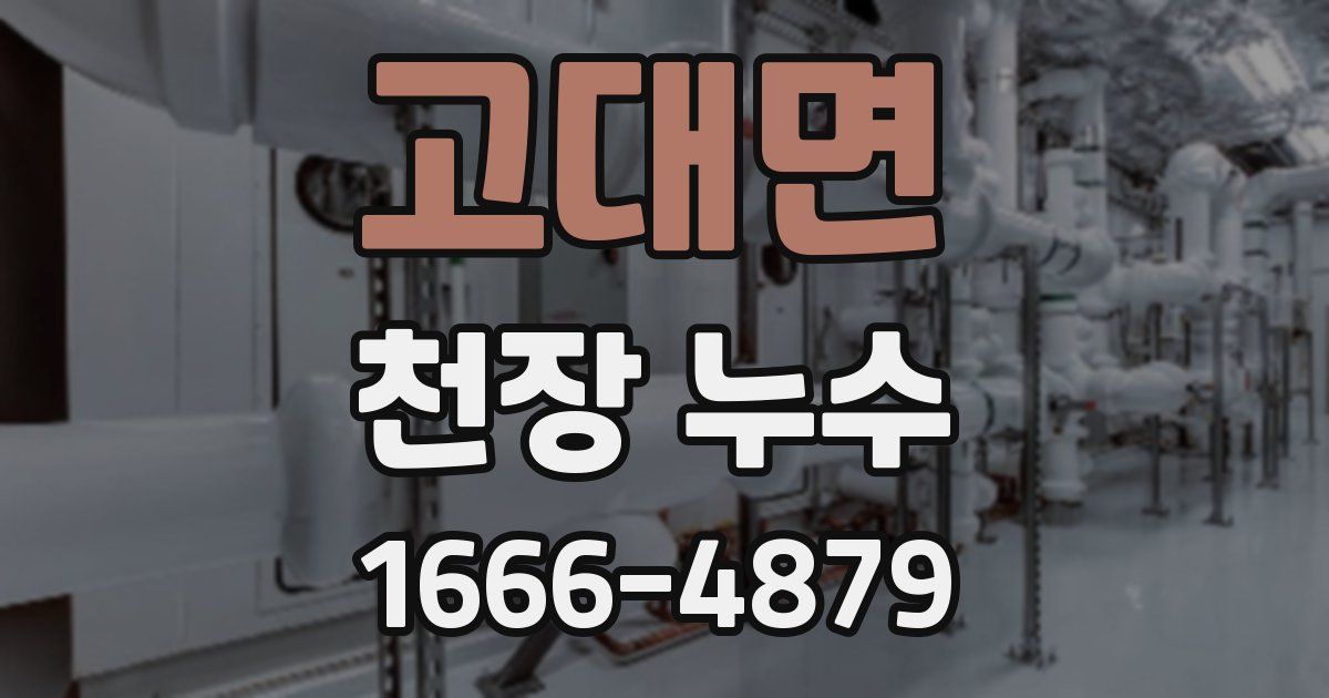 고대면 천장 누수