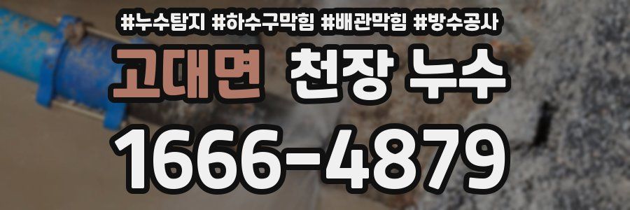 고대면 천장 누수