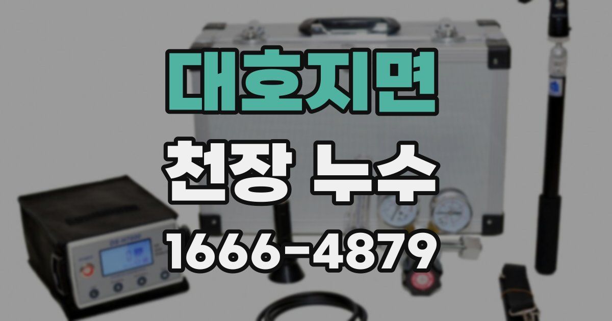 대호지면 천장 누수
