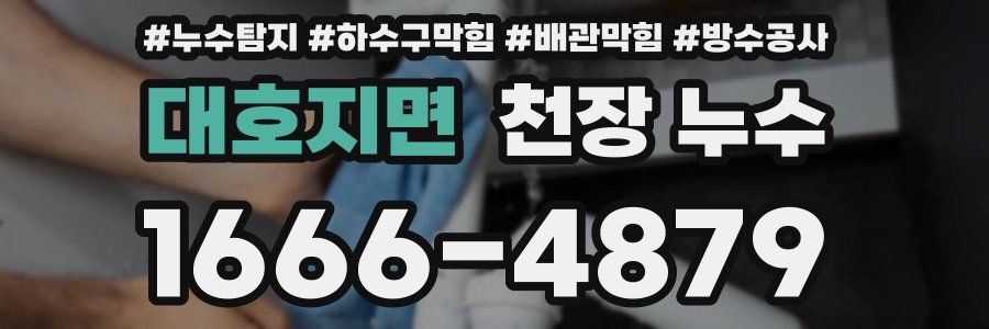대호지면 천장 누수