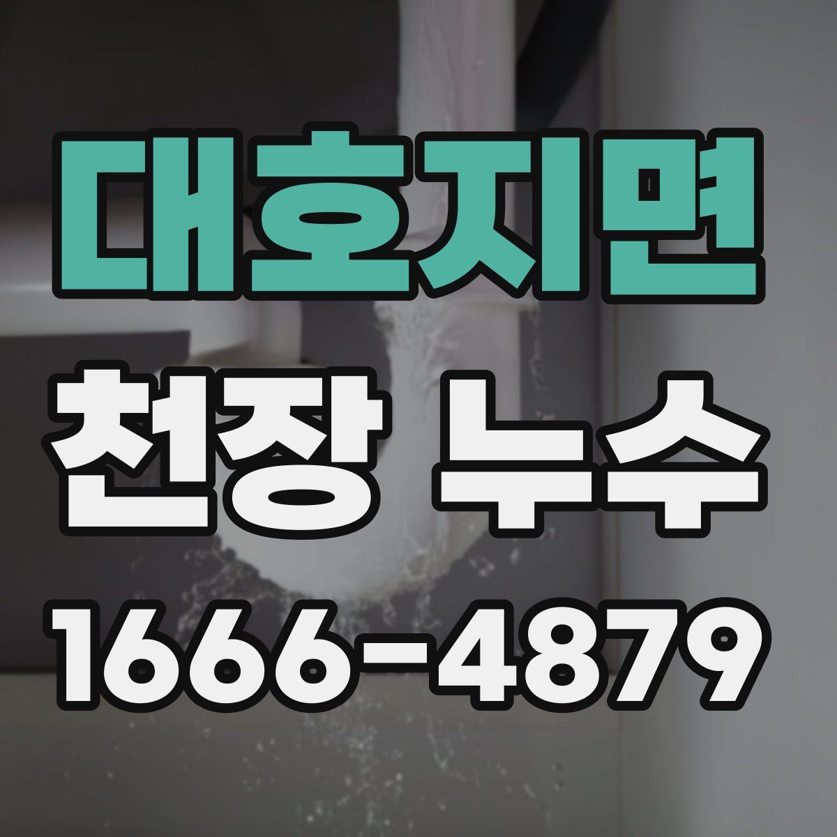 대호지면 천장 누수