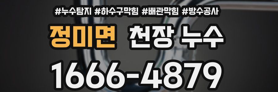 정미면 천장 누수