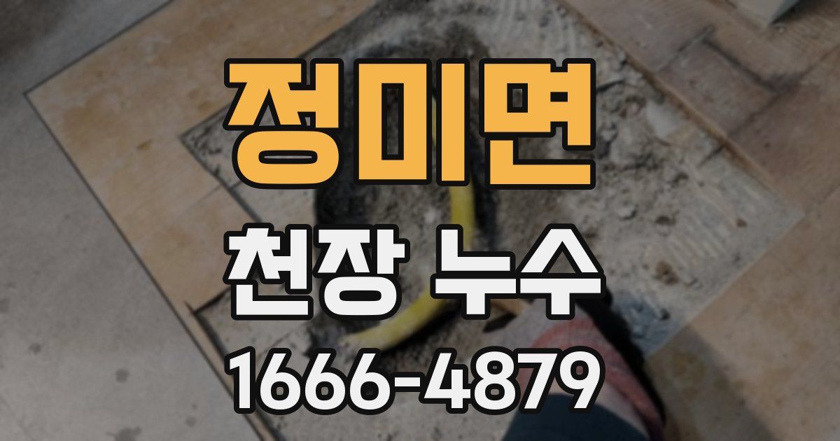 정미면 천장 누수