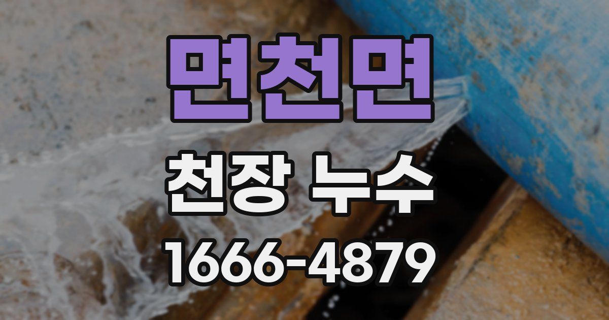면천면 천장 누수