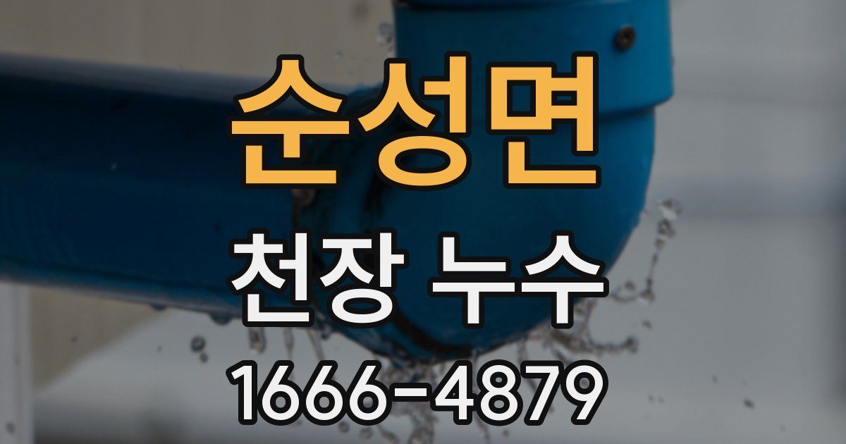 순성면 천장 누수