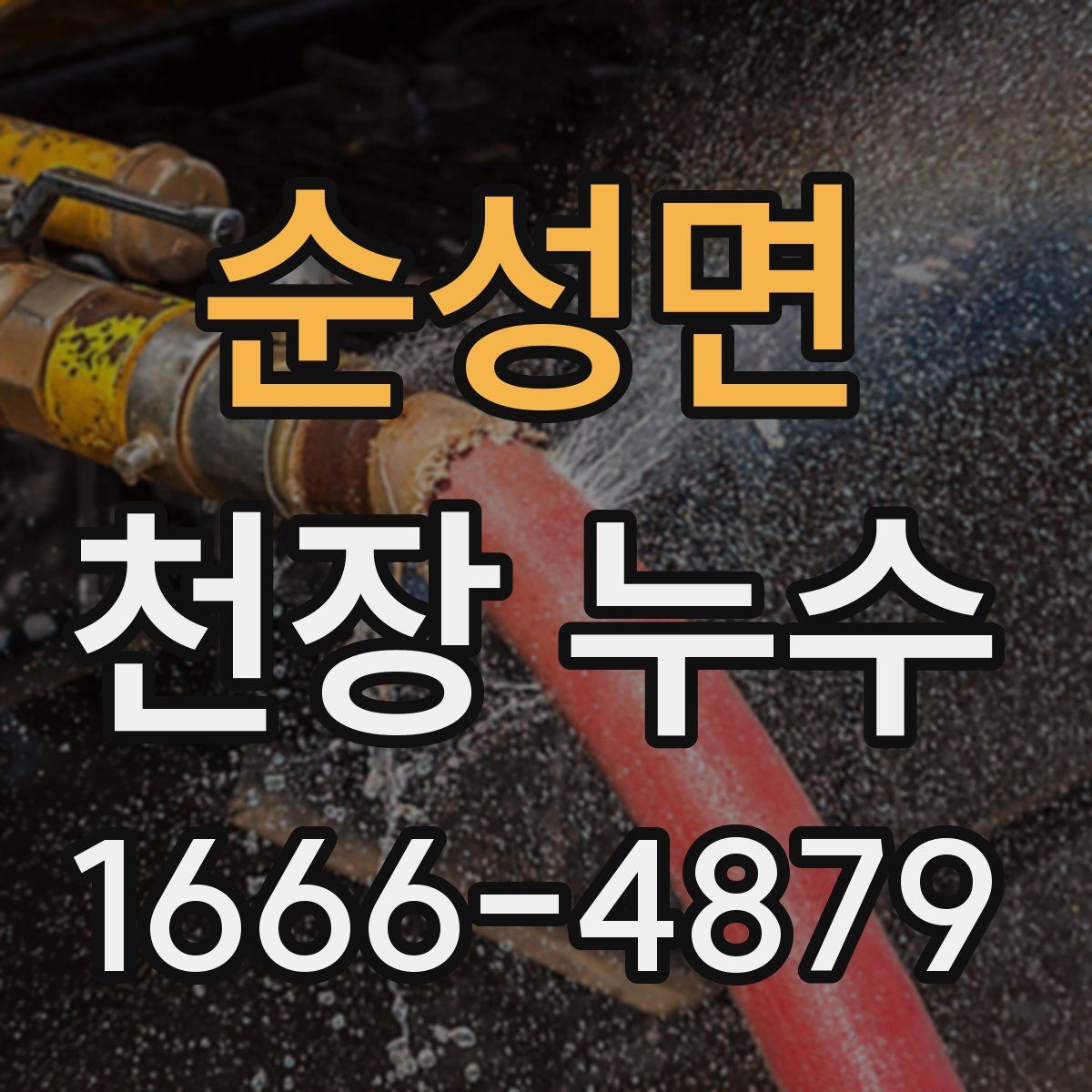 순성면 천장 누수